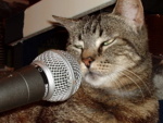 Desi Imiteert Janis Joplin