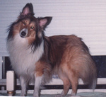 Still had the big ears:-)