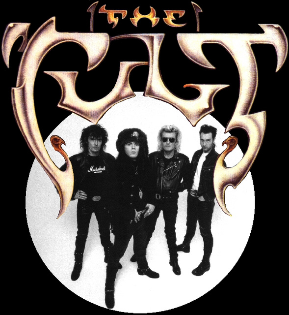 Electric Cover alternate 