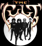 Electric Cover alternate 
