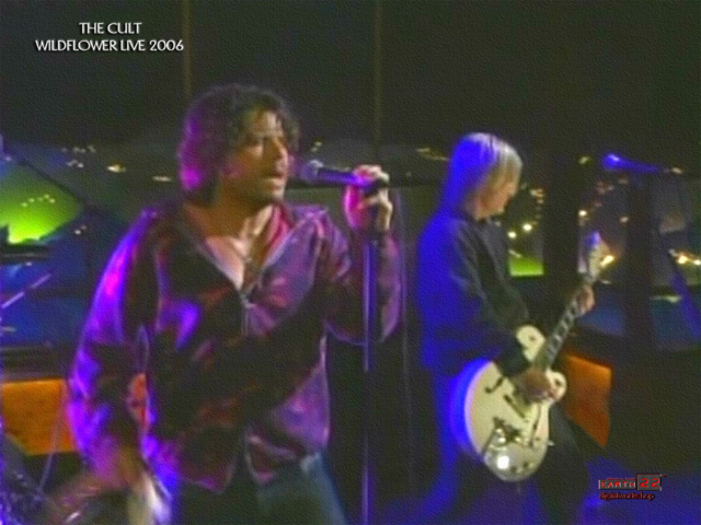 Wildflower Live